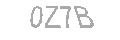 Güvenlik Kodu